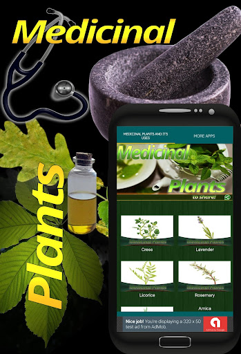 Medicinal Plants and its uses PC