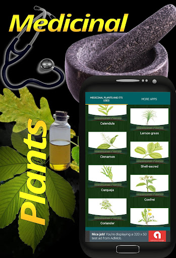 Medicinal Plants and its uses PC
