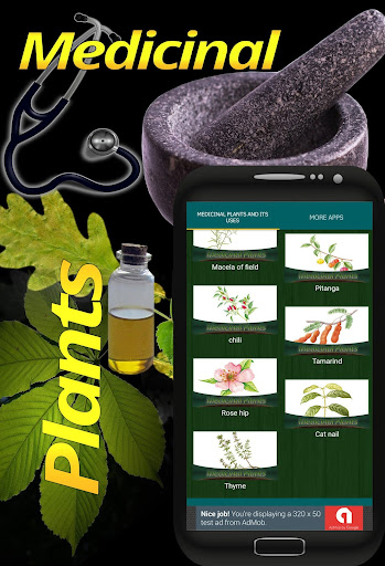Medicinal Plants and its uses PC