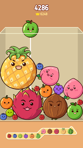 Melon Drop: Fruit Merge Master