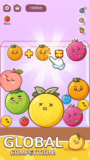 Fruit Drop Master PC