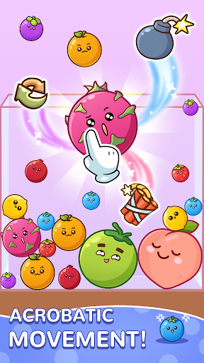 Fruit Drop Master PC