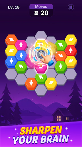 Hexout - Color Hexa Puzzle پی سی