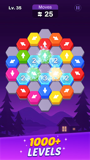 Hexout - Color Hexa Puzzle پی سی