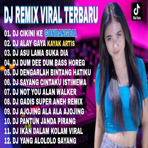 Lagu DJ Lengkap Offline 2025