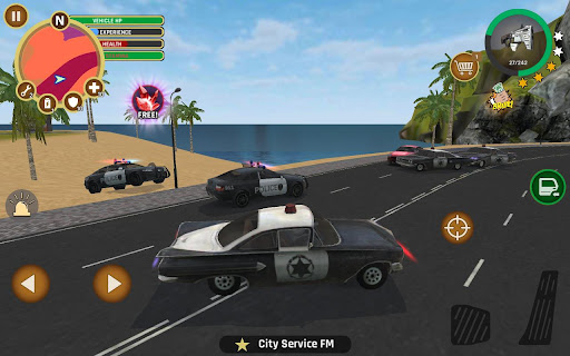 Miami Crime Police PC