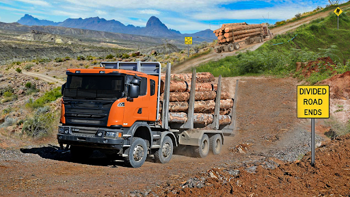 Offroad Logging Truck Games 3D پی سی