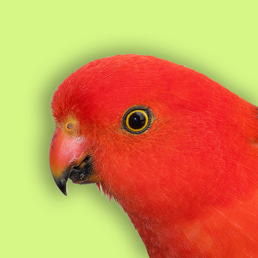 Australia Birds ID