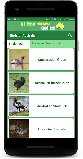 Australia Birds ID