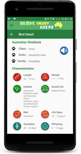 Australia Birds ID