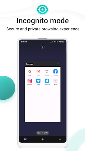 Mint Browser - Video download,