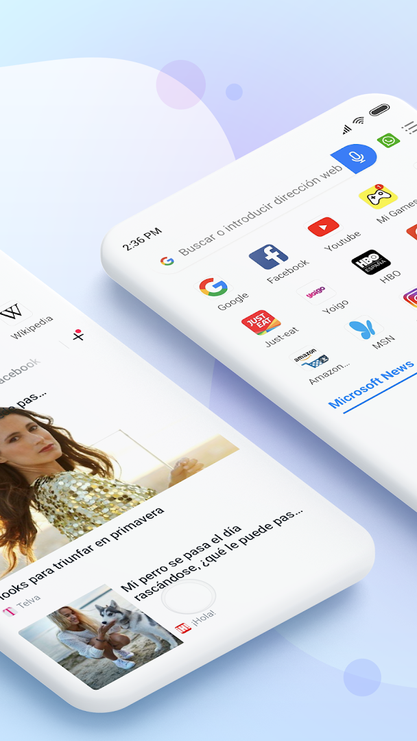 Navegador Mi - Rápido y seguro PC