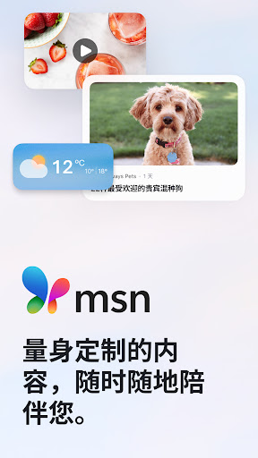 MSN (Start)电脑版