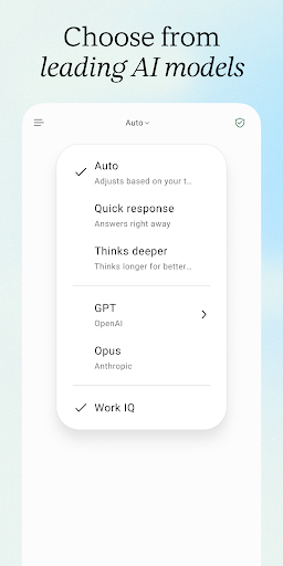 Microsoft 365 (Office)