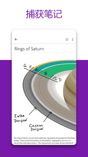 Microsoft OneNote：保存创意和整理笔记电脑版