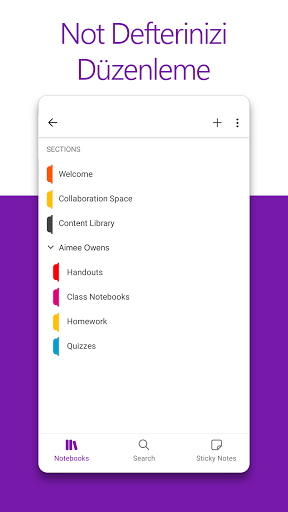 Microsoft OneNote: Save Notes