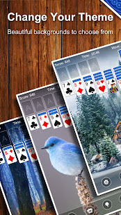 Solitaire Card Game PC版