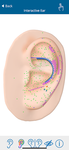Auriculo 360 - The Living Ear PC
