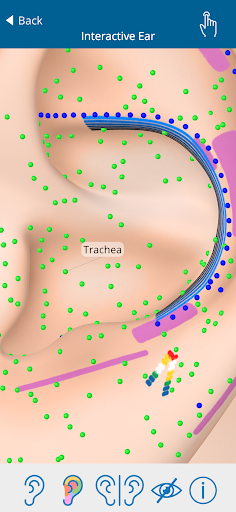 Auriculo 360 - The Living Ear PC