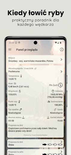 Kiedy łowić ryby PC