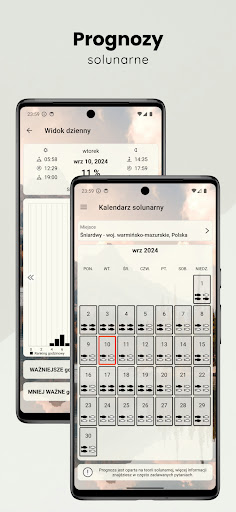 Kiedy łowić ryby PC