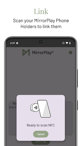 MirrorPlay PC