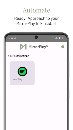MirrorPlay PC