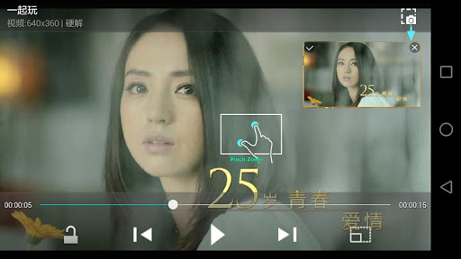 PlayerX Video Player PC