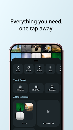 Pixel Gallery - গোপনীয়তা ও AI পিসি