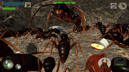 Ant Simulation 3D PC