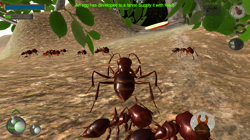 Ant Simulation 3D PC