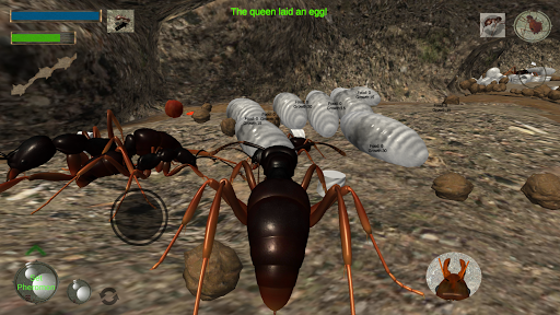 Ant Simulation 3D PC