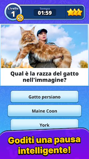 Quiz Blitz: Sfida alla mente PC