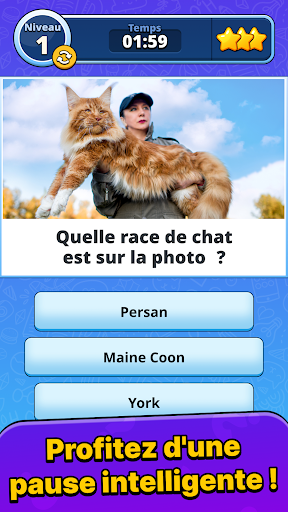 Quiz Blitz : Défi Cérébral PC