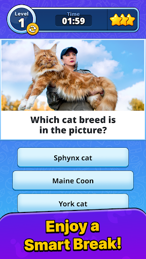 Quiz Blitz: Test Brain Game PC