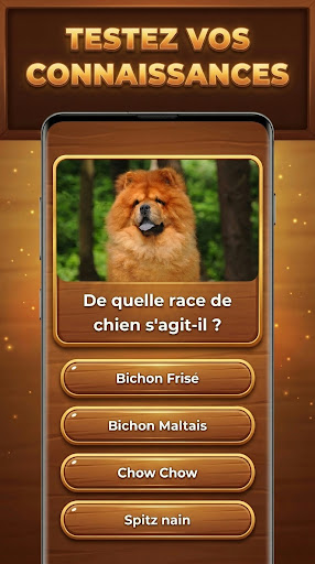 Défi Trivia : Trivia Blocks