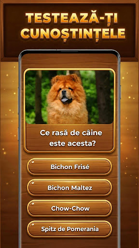 Strom Vědění: Trivia Blocks