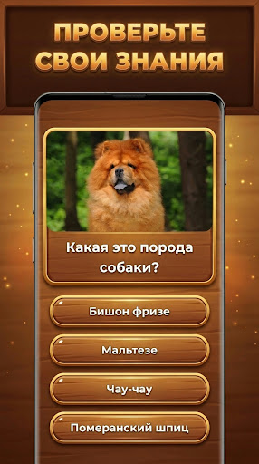 Древо Знаний: Trivia Blocks