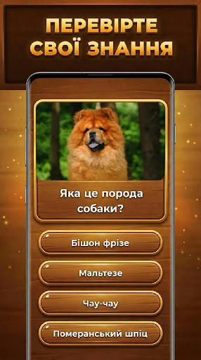 Дерево Знань: Trivia Blocks