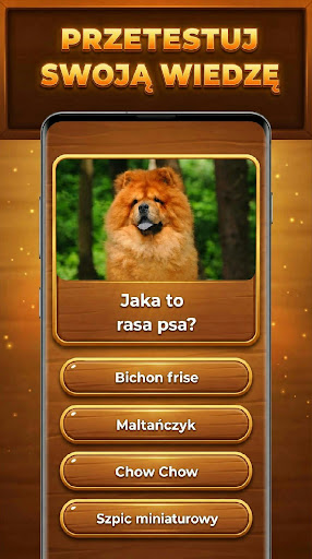 Drzewo Wiedzy: Trivia Blocks