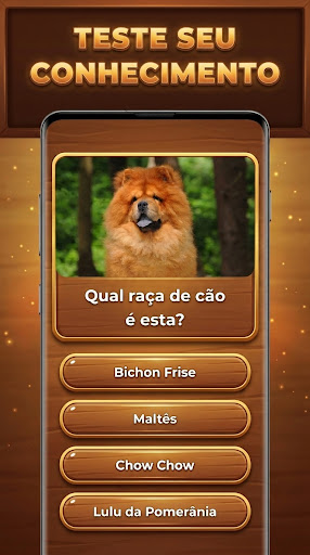 Bum de Trivia: Trivia Blocks