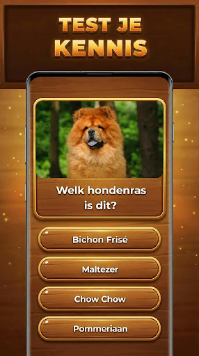 Quiz-Boom: Trivia Blocks
