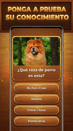 Trivia Madera: Trivia Blocks