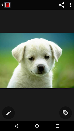 Gallery KK পিসি