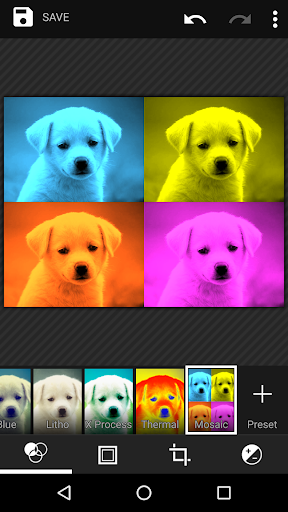 Gallery KK পিসি