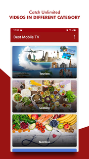 Best Mobile TV الحاسوب