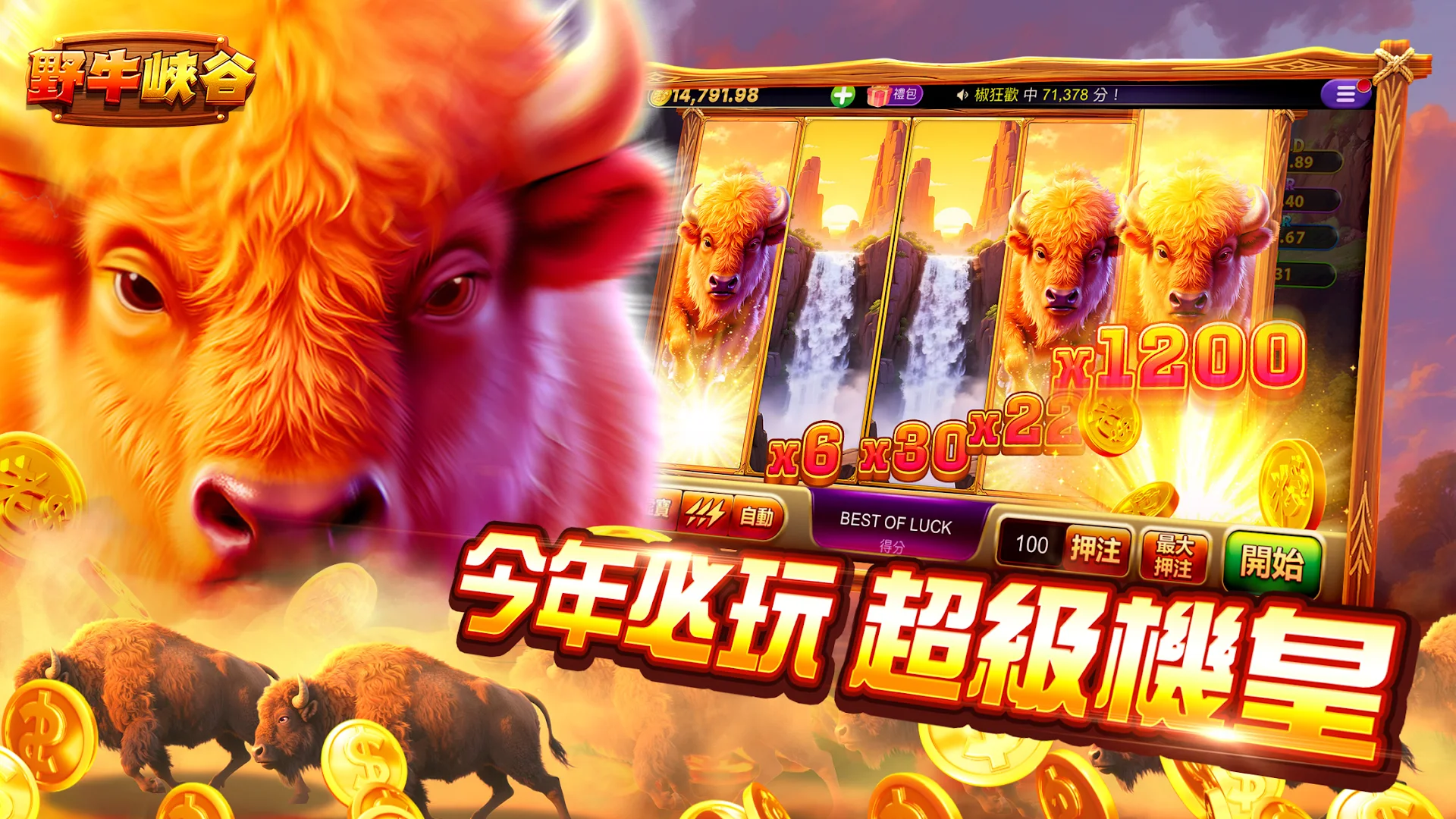 老子有錢電腦版