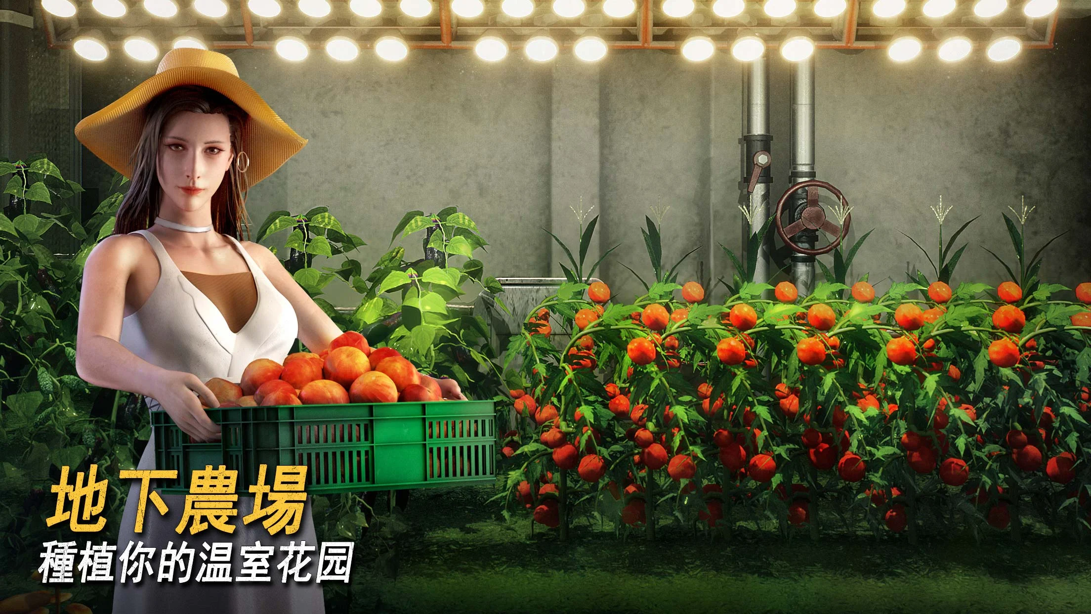 七號堡壘電腦版