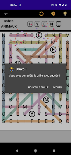 Mots Mêlés Français PC