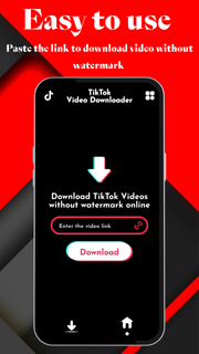 Tikdownloder no watermark PC